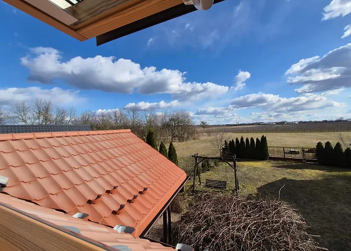 Szlachecki Sad 度假居 *